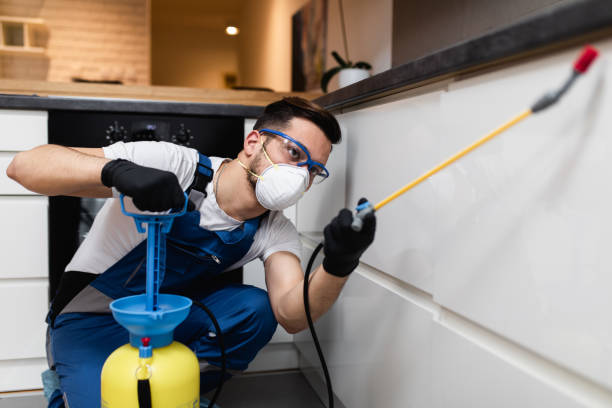 Professional Pest Control in Burton, SC