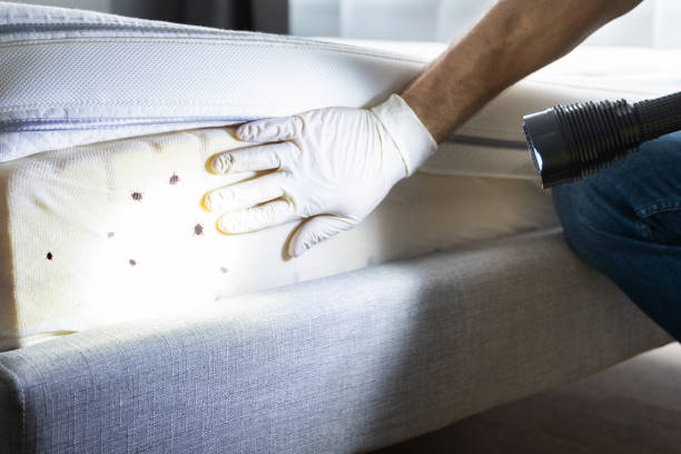 Best Exterminator Services  in Burton, SC