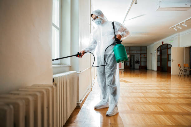 Pest Prevention Services in Burton, SC