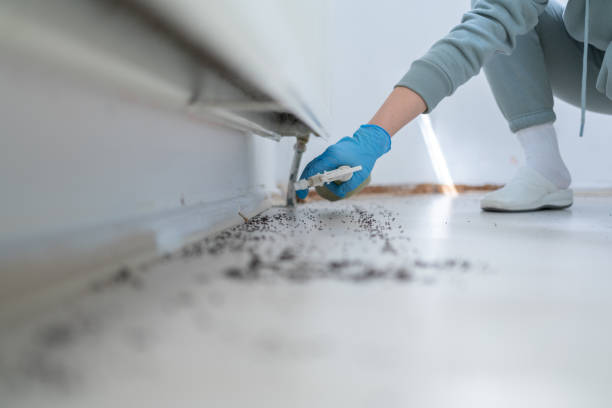 Best Affordable Pest Control Services  in Burton, SC