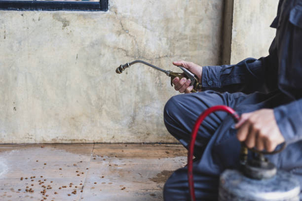 Best Termite Control Services  in Burton, SC